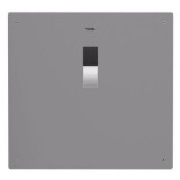 Flushometer Flush Plates
