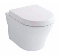 Wall Mounted Toilets