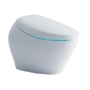 Intelligent / Smart Toilets