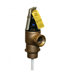 Temp & Press Relief Valve